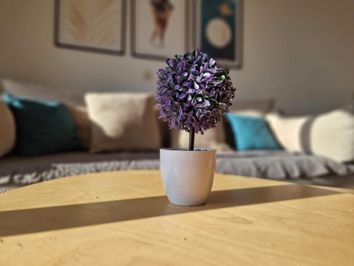 City Apartment Sanja Makarska Bagian luar foto